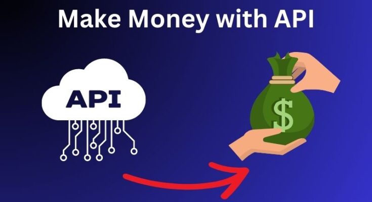 How To Make Money With APIs